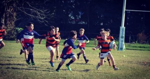 60729625_10157537598968984_1900913307863220224_n